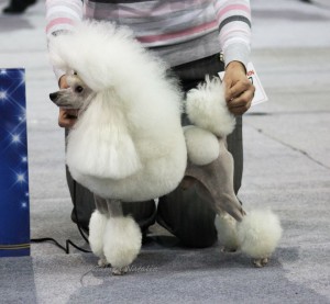 1235322_680362675339653_2103854254_n